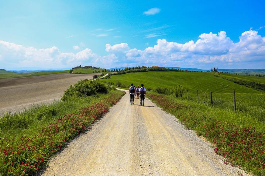Podere il Granaio - Crete Senesi - Tuscany Siena Esterno foto