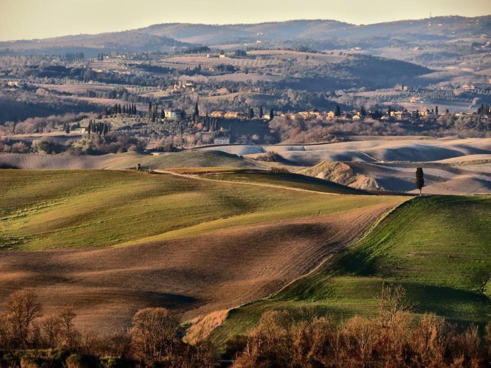 Podere il Granaio - Crete Senesi - Tuscany Siena Esterno foto
