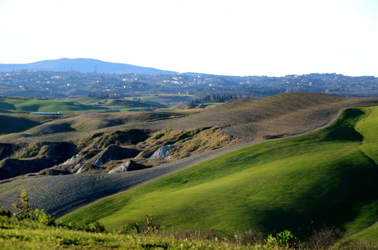 Podere il Granaio - Crete Senesi - Tuscany Siena Esterno foto