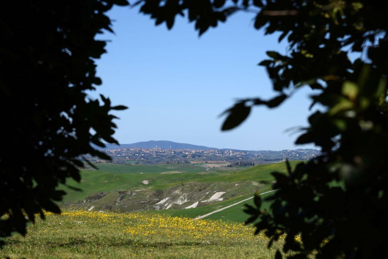 Podere il Granaio - Crete Senesi - Tuscany Siena Esterno foto